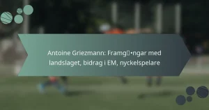 Antoine Griezmann: Framgångar med landslaget, bidrag i EM, nyckelspelare