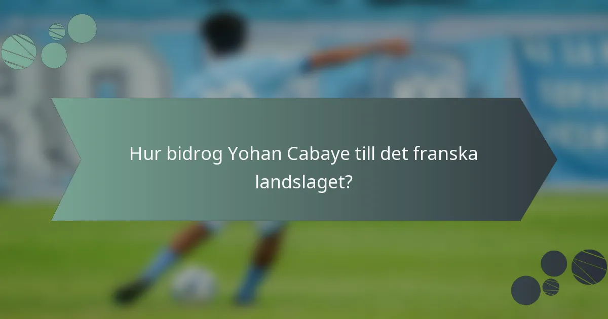 Hur bidrog Yohan Cabaye till det franska landslaget?