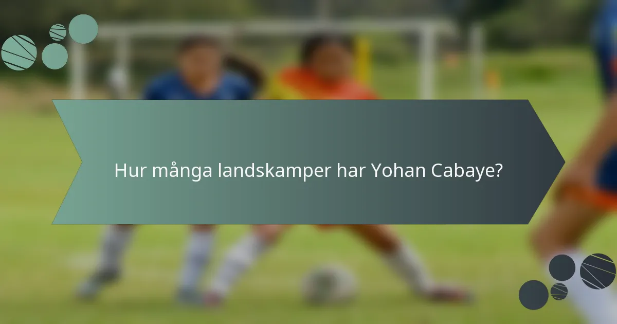 Hur många landskamper har Yohan Cabaye?