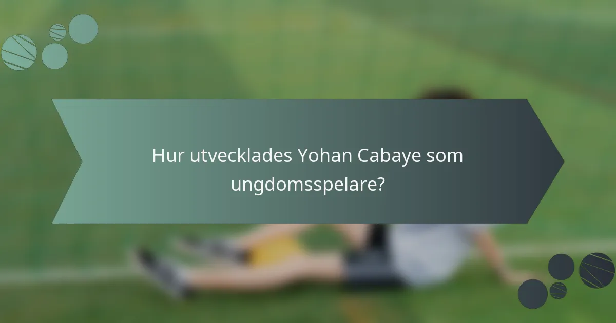 Hur utvecklades Yohan Cabaye som ungdomsspelare?