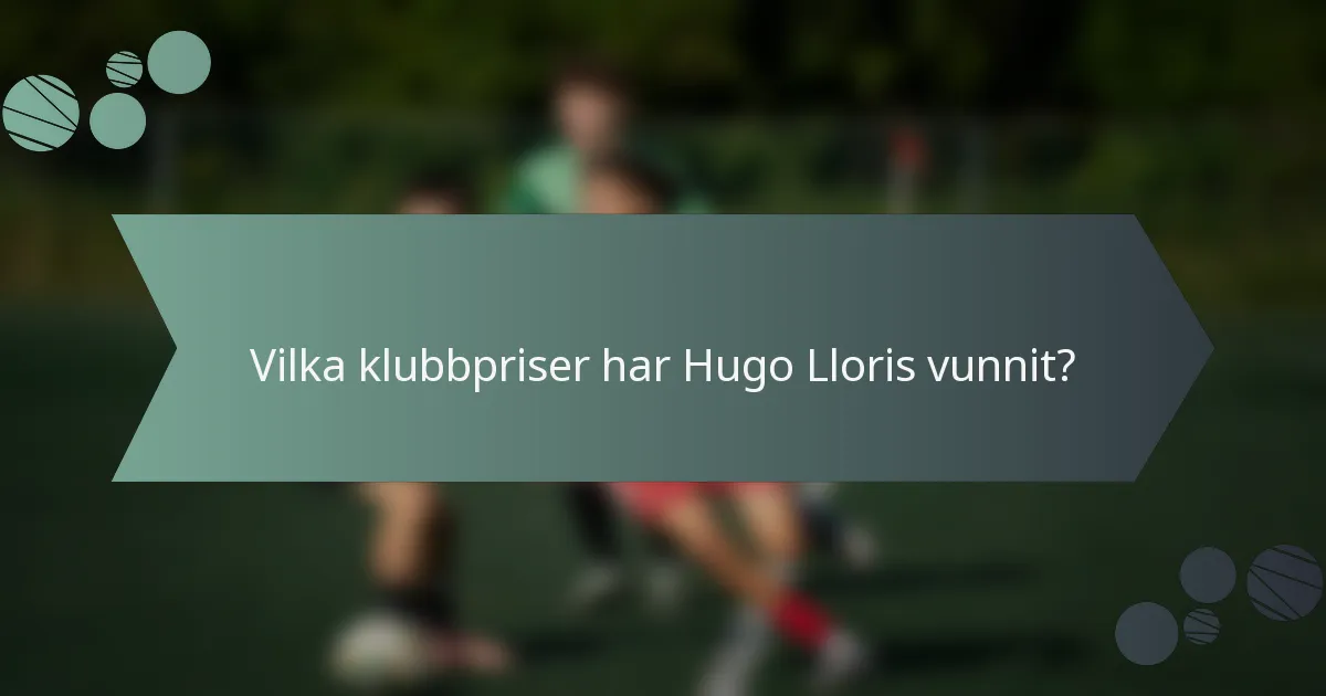 Vilka klubbpriser har Hugo Lloris vunnit?